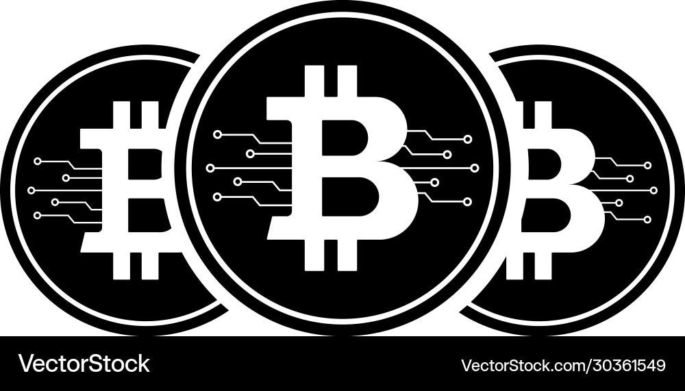 Bitcoin icon with micro scheme vector image