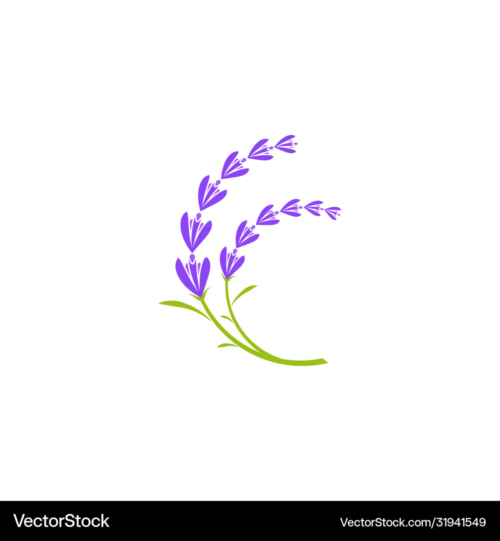 Lavendel Blume Icon Lavendel Blume Icon vektorbild