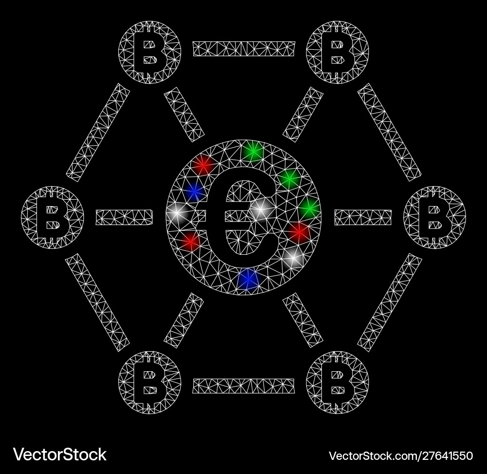 Bright mesh wire frame bitcoin euro net structure Bright mesh wire frame bitcoin euro net structure vector image