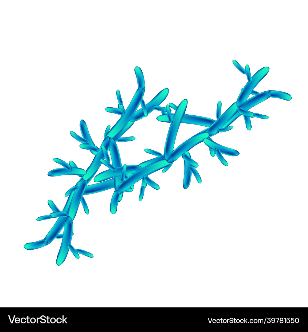 C pseudotropicalis candida pathogene Hefe C pseudotropicalis candida pathogene Hefe vektorbild
