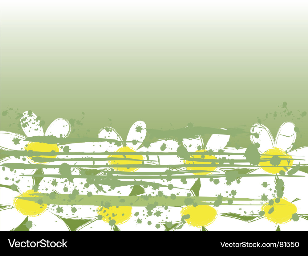 Chamomile background vector image