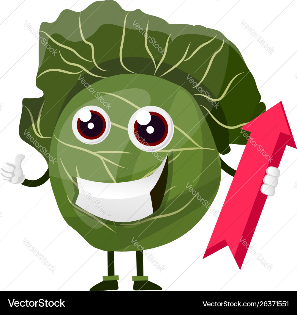 Cabbage with red arrow on white background Vector Image