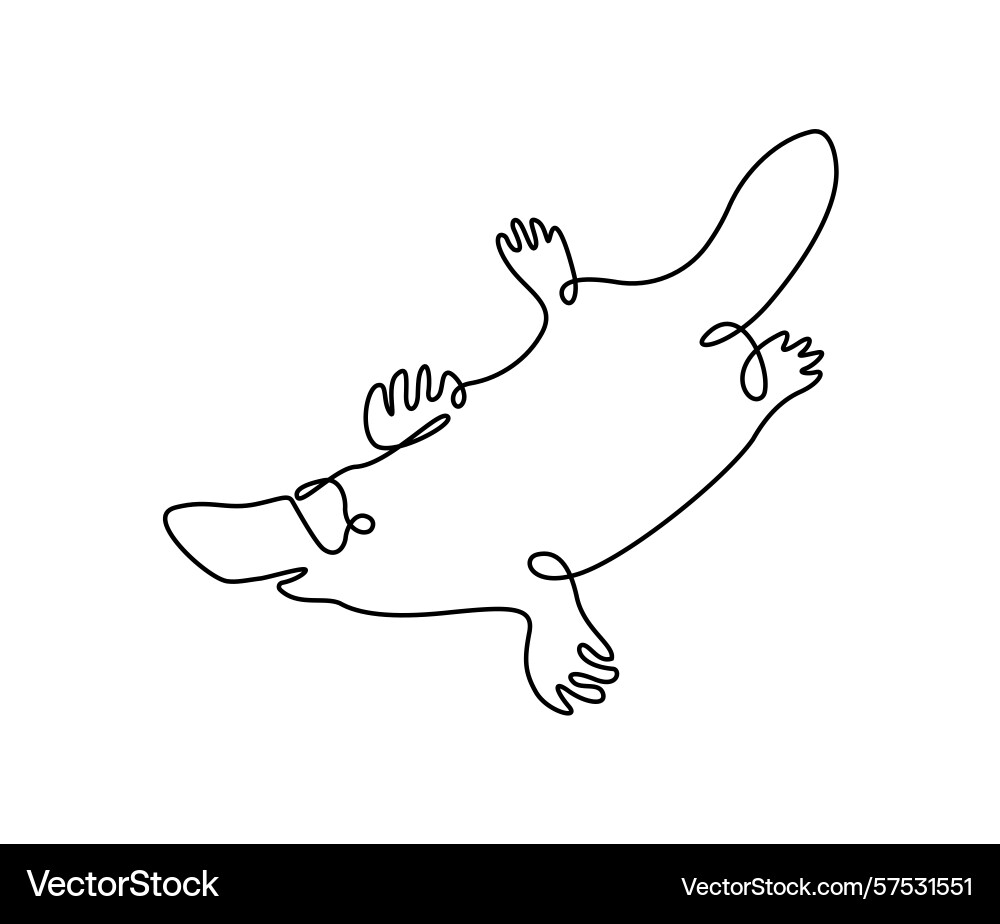 Platypus one continuous line in outline Vector Image