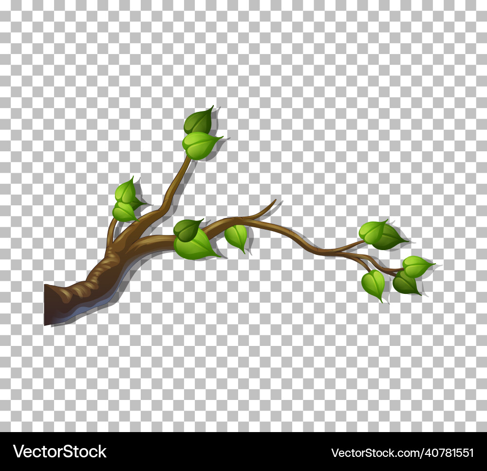 Tree branch on transparent background Vector Image
