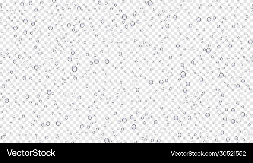 Drops water rain on transparent background Vector Image