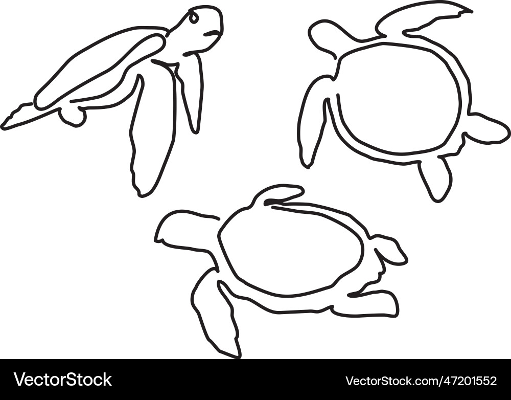 Turtle of design on a white background Vector Image