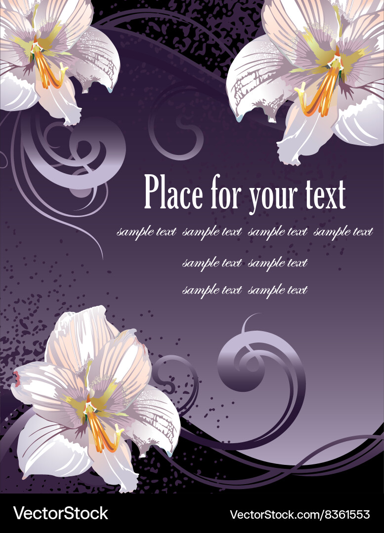 Lily design with text space Vector Image
