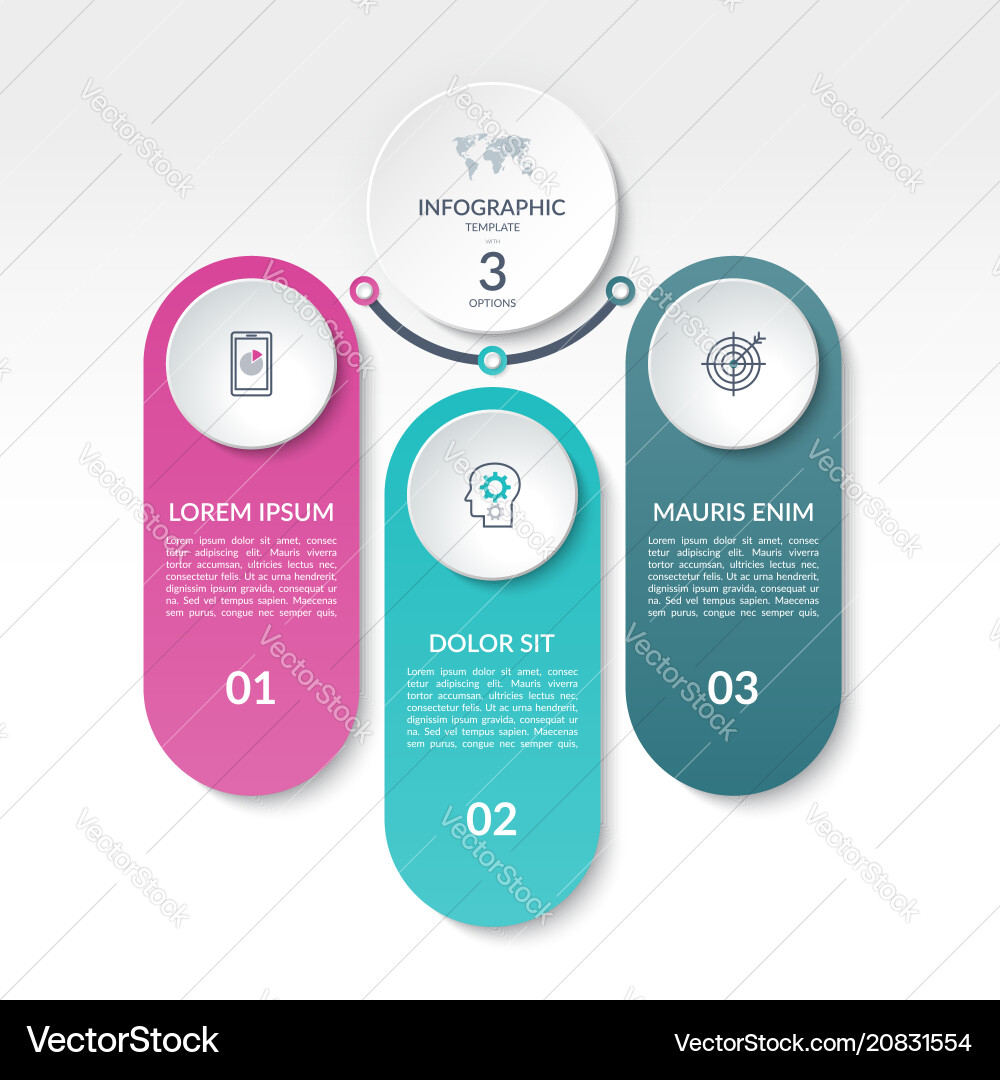 Infographic banner 3 options steps parts Infographic banner 3 options steps parts vector image
