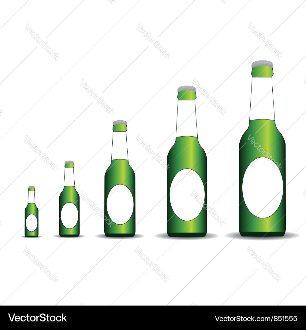 Five bottles of the different size Vector Image