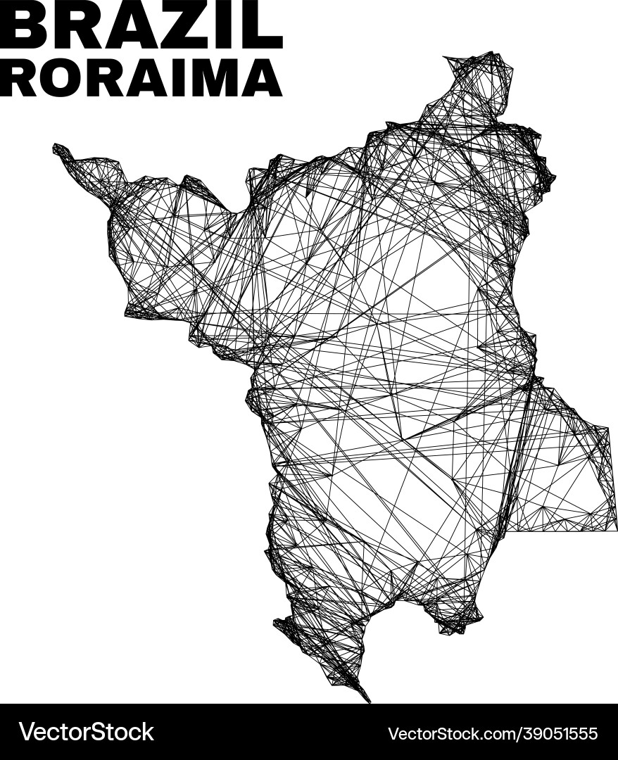 Net irregular mesh roraima state map Net irregular mesh roraima state map vector image