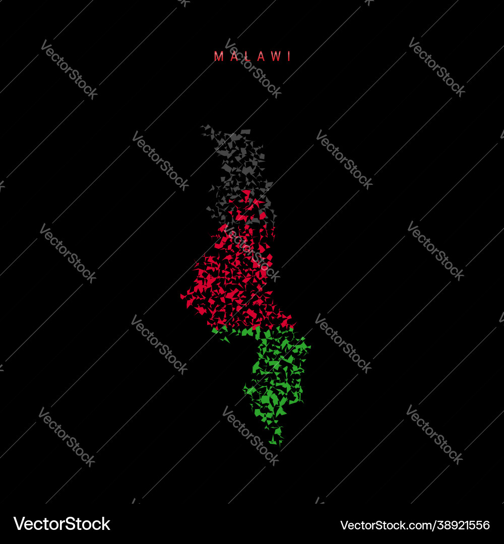 Malawi flag map chaotic particles pattern Vector Image