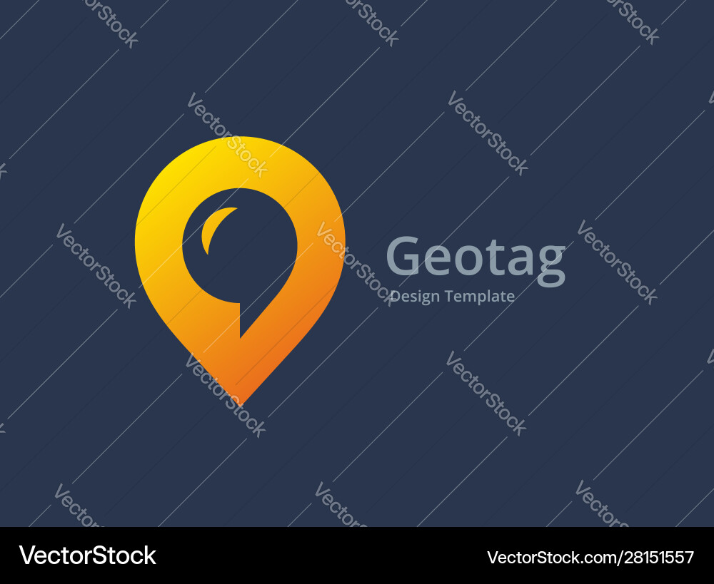 Geolocation Pin with Speech Bubble Icon vector image