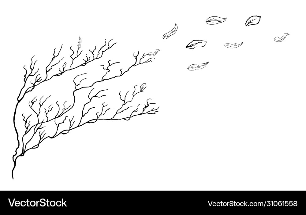 Bare simple not perfect black bush silhouette Bare simple not perfect black bush silhouette vector image
