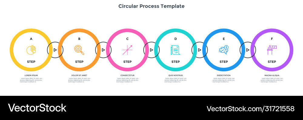 Modern infographic options banner Modern infographic options banner vector image