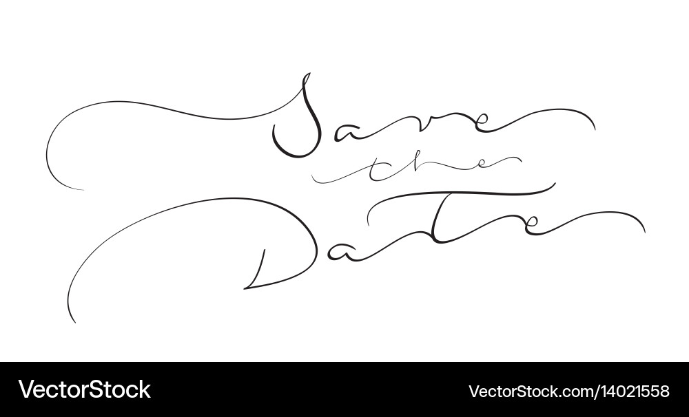 Save the date text on white background vector image