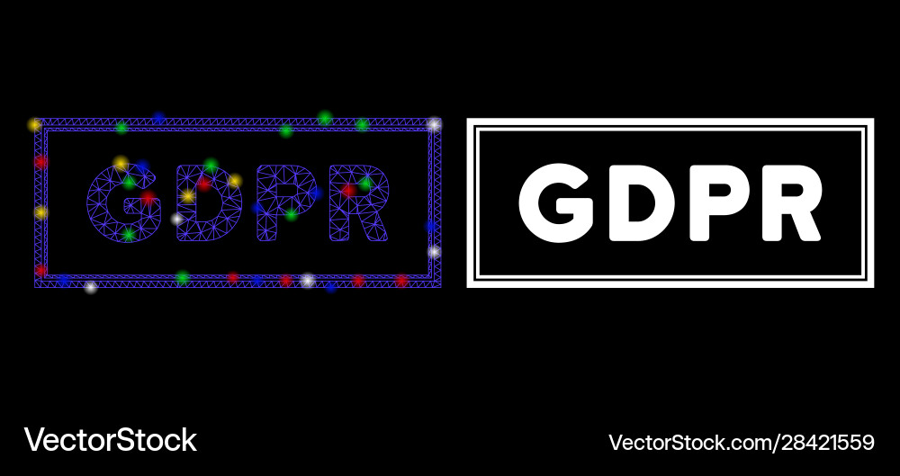 Glossy mesh network gdpr rectangle icon with flash Glossy mesh network gdpr rectangle icon with flash vector image
