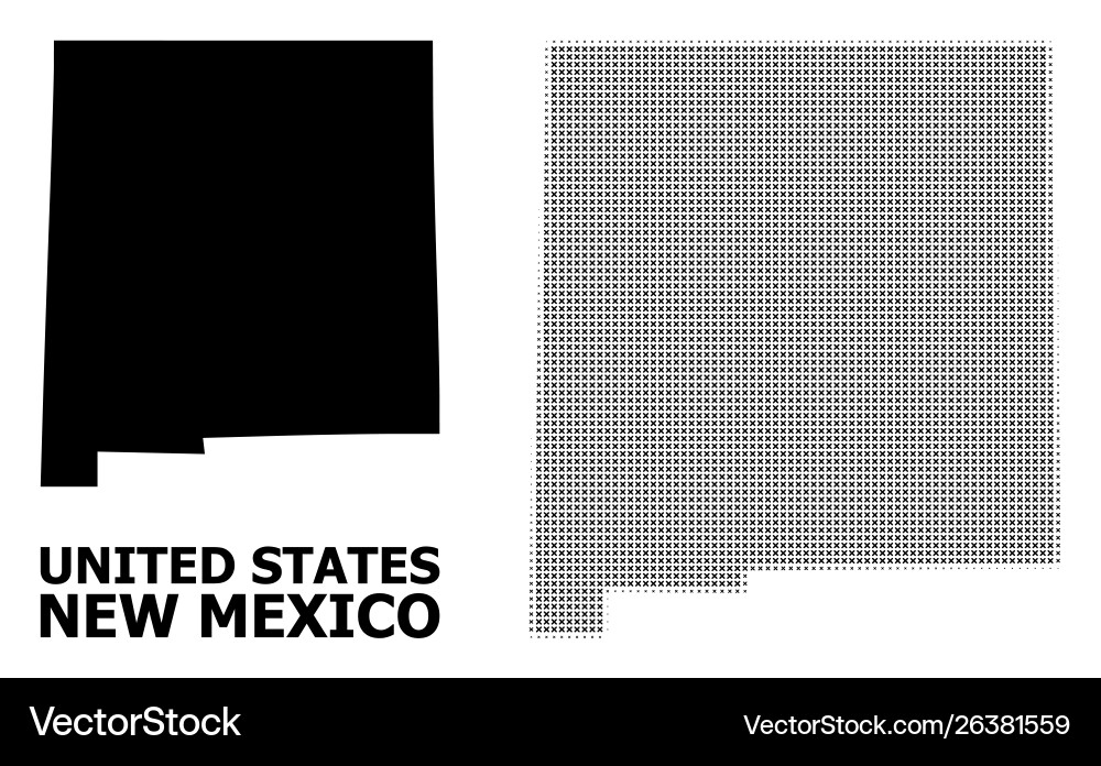 Halftone pattern and solid map new vector image