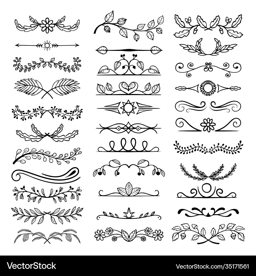 Floral Line Divider Set Vector Image