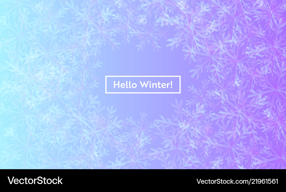 Hello winter layout with snowflakes for web site Hello winter layout with snowflakes for web site vector image