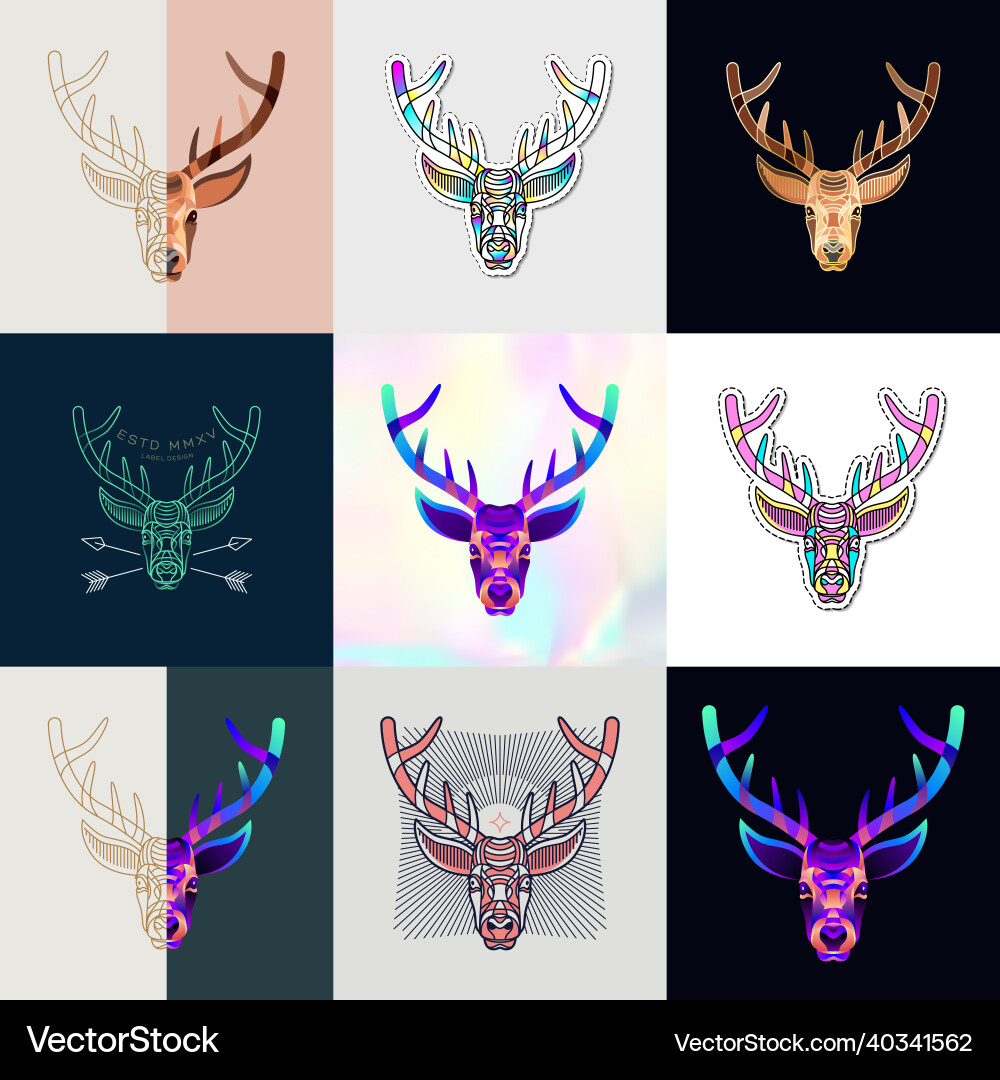 Abstract animal Abstract animal vector image