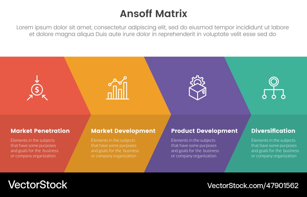 Ansoff matrix framework growth initiatives Ansoff matrix framework growth initiatives vector image