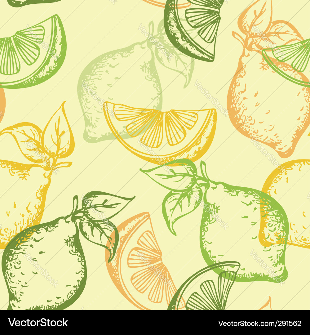 Citrus Slice Pattern Vector Image