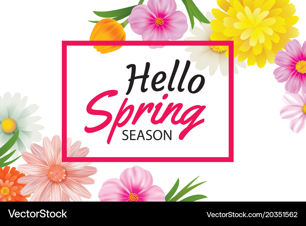 Hello spring banner template with colorful Vector Image