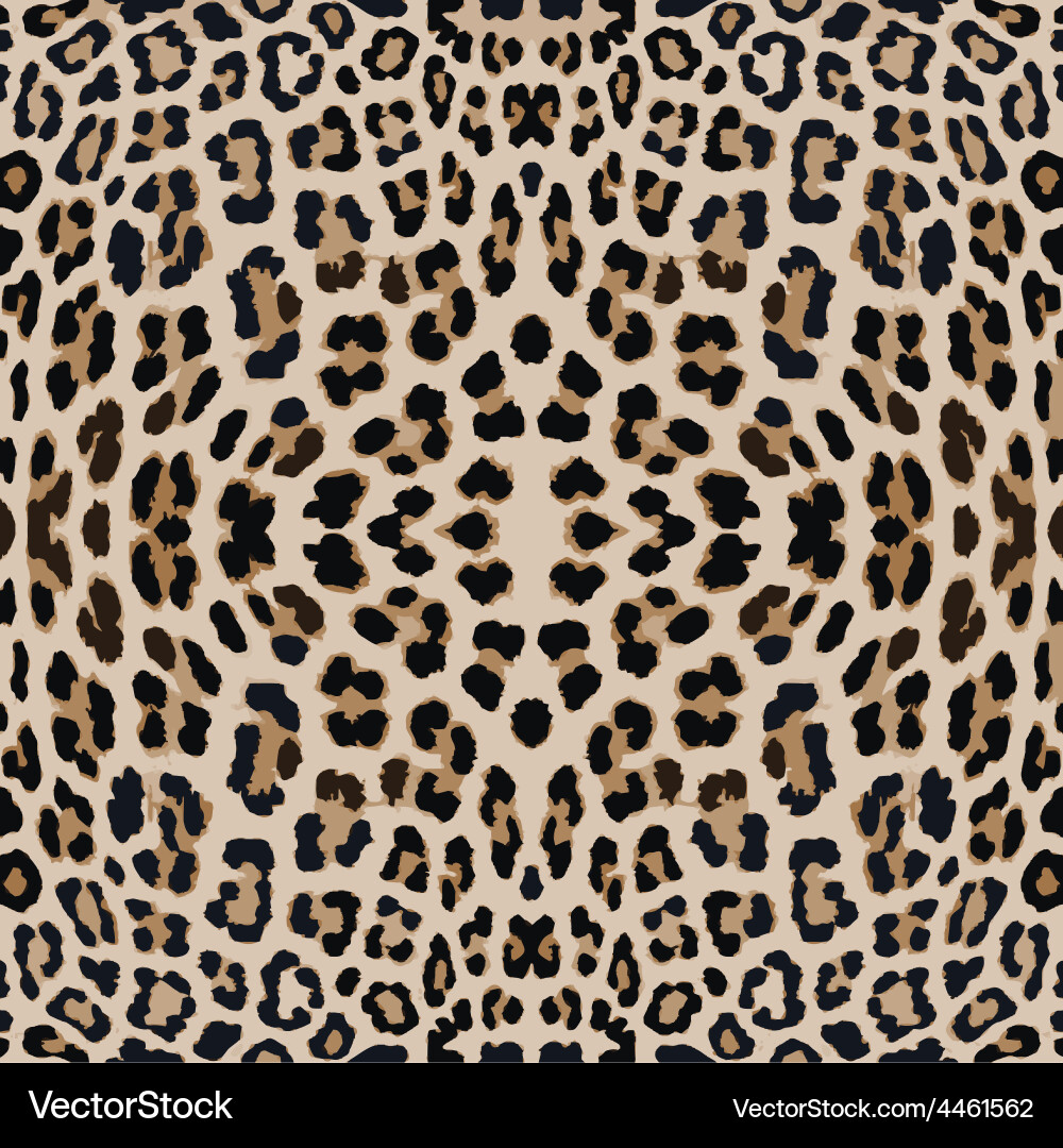 Leopard Print Pattern vector image