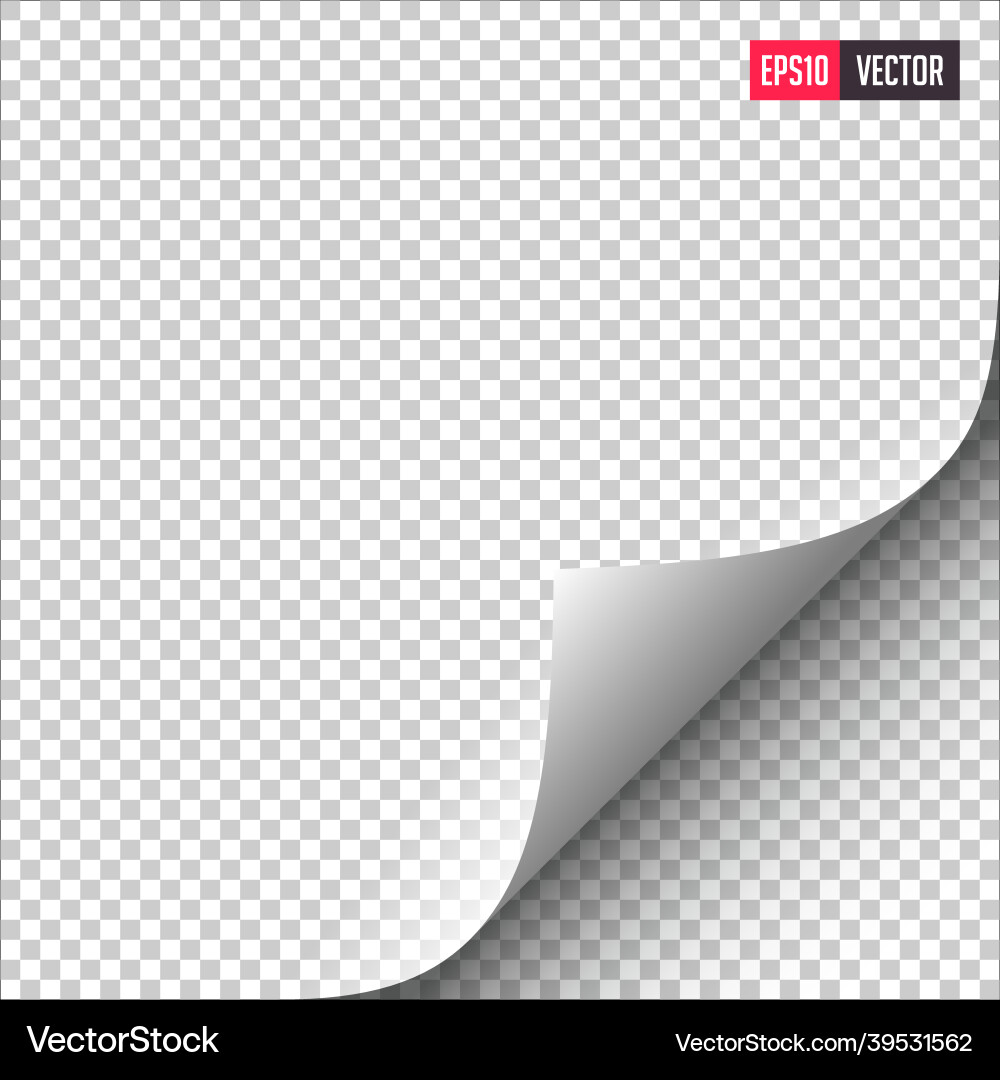 Page curl with shadows on transparent sheet vector image