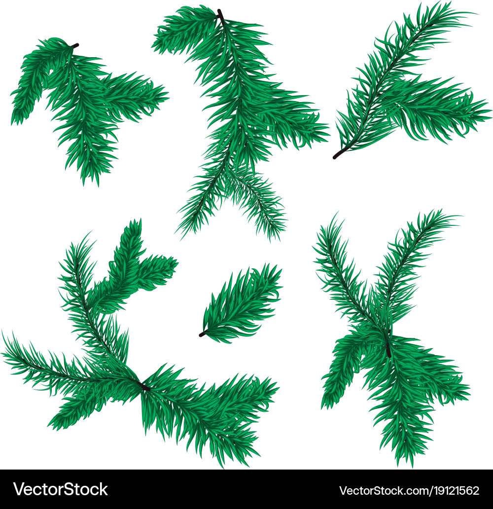 Weihnachtsfest Vektorbild