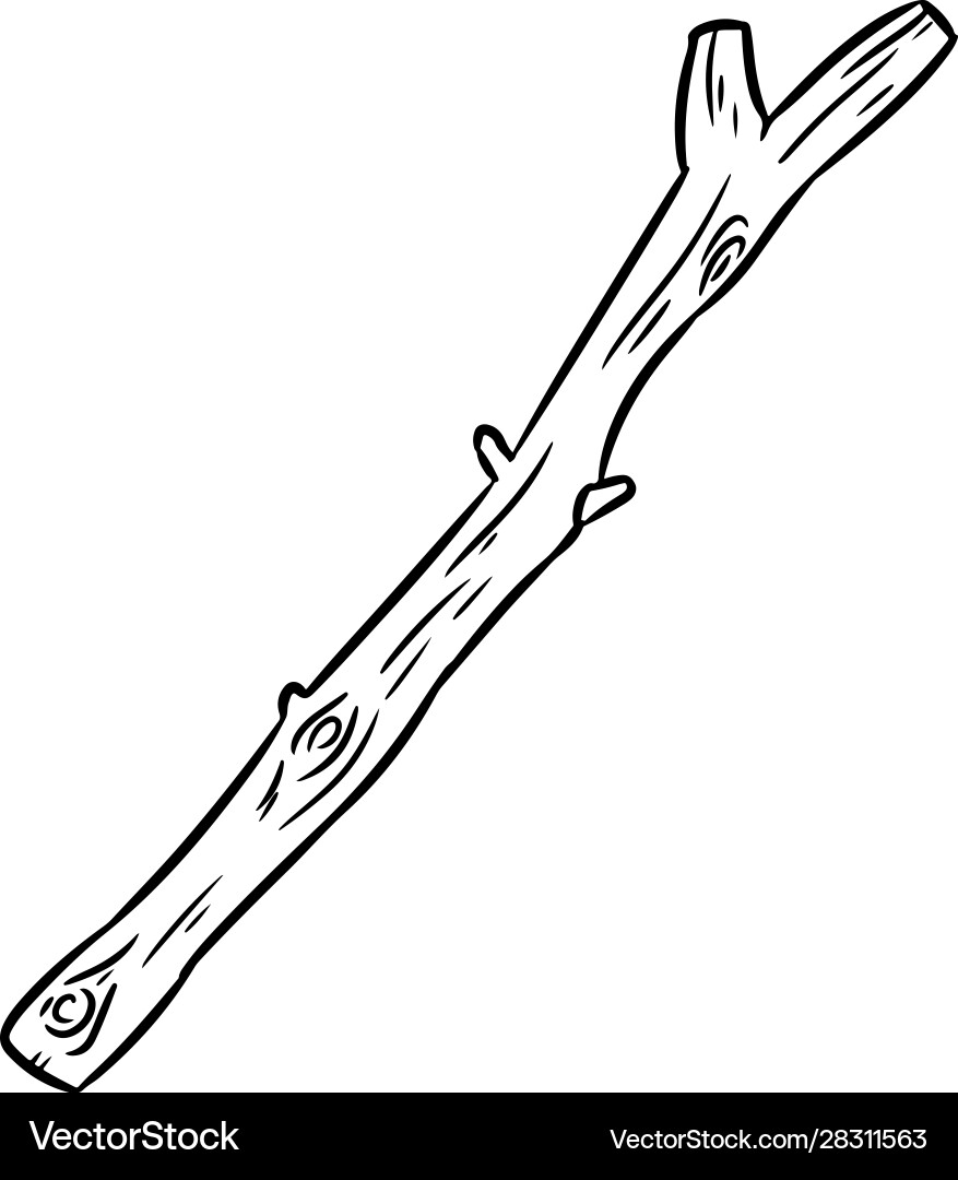 Dry tree branch boho image stick isolated Dry tree branch boho image stick isolated vector image