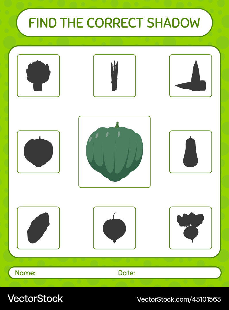 Find the correct shadows game with acorn squash Find the correct shadows game with acorn squash vector image