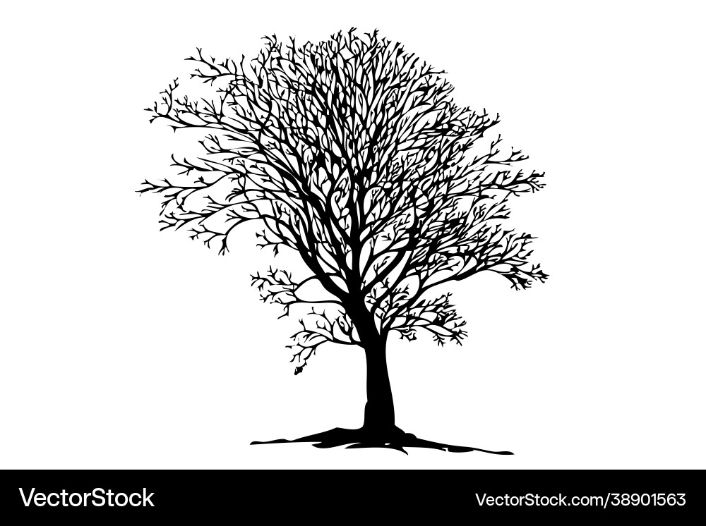 Manual draw sketch dead tree Vector Image