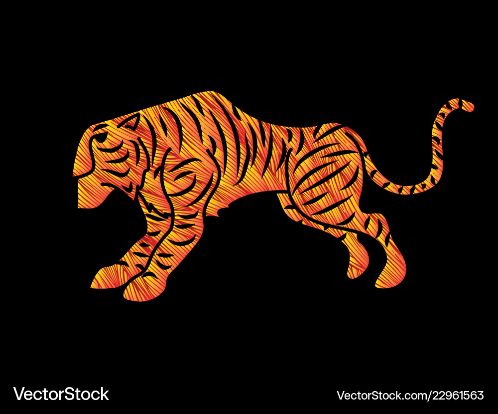 Tiger cartoon graphic Tiger cartoon graphic vector image