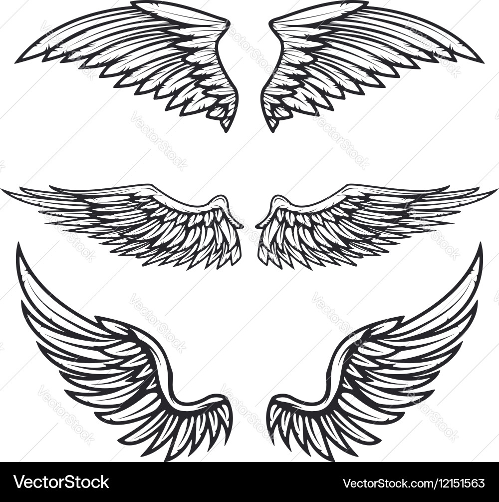 Vintage Wing Symbol Vector Image