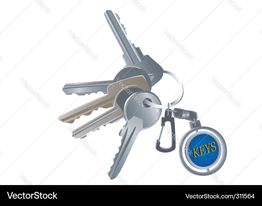 Collection of Keys vector image