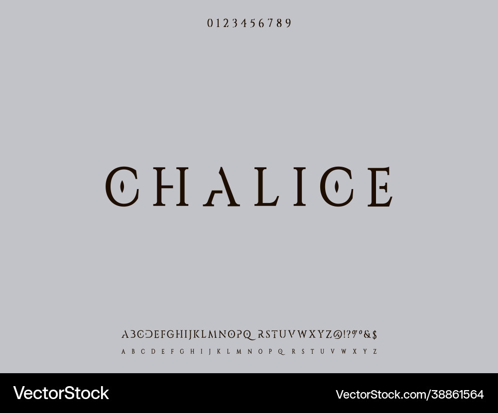 Fonttypefacealphabetscriptshadow Fonttypefacealphabetscriptshadow vector image