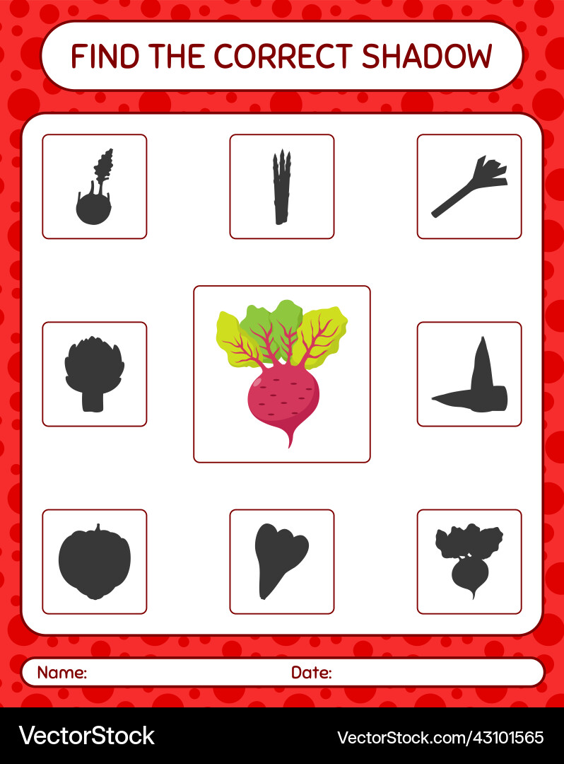Find the correct shadows game with beet root Find the correct shadows game with beet root vector image