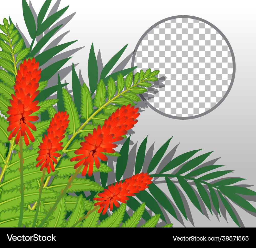 Runder Rahmen transparent mit roten Blumen Runder Rahmen transparent mit roten Blumen vektorbild