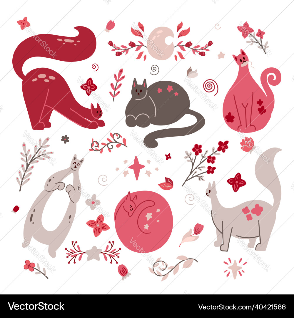 Cute Pink Cats with Floral Branch Vector Image