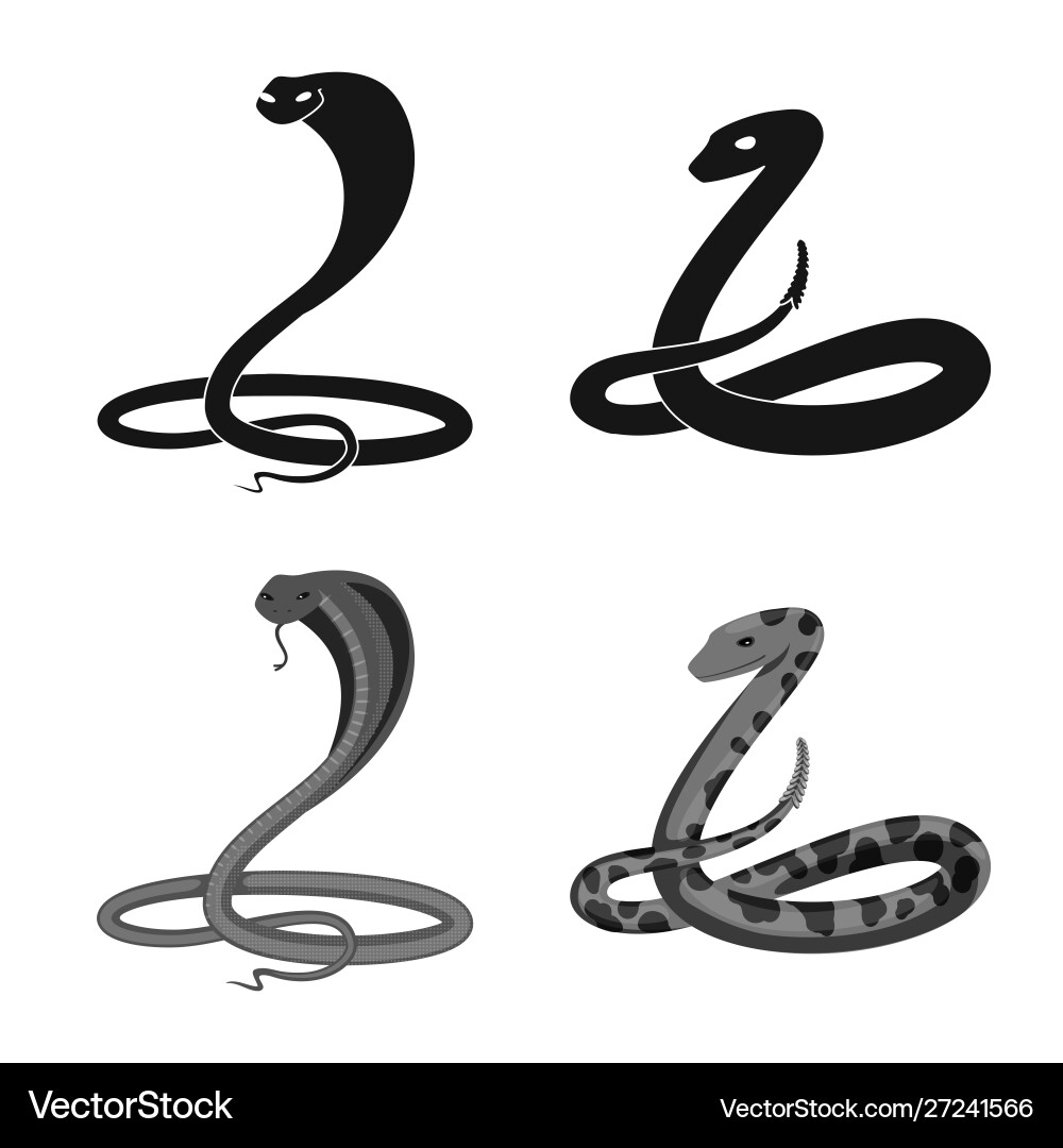 Isolated object mammal and danger symbol vector image