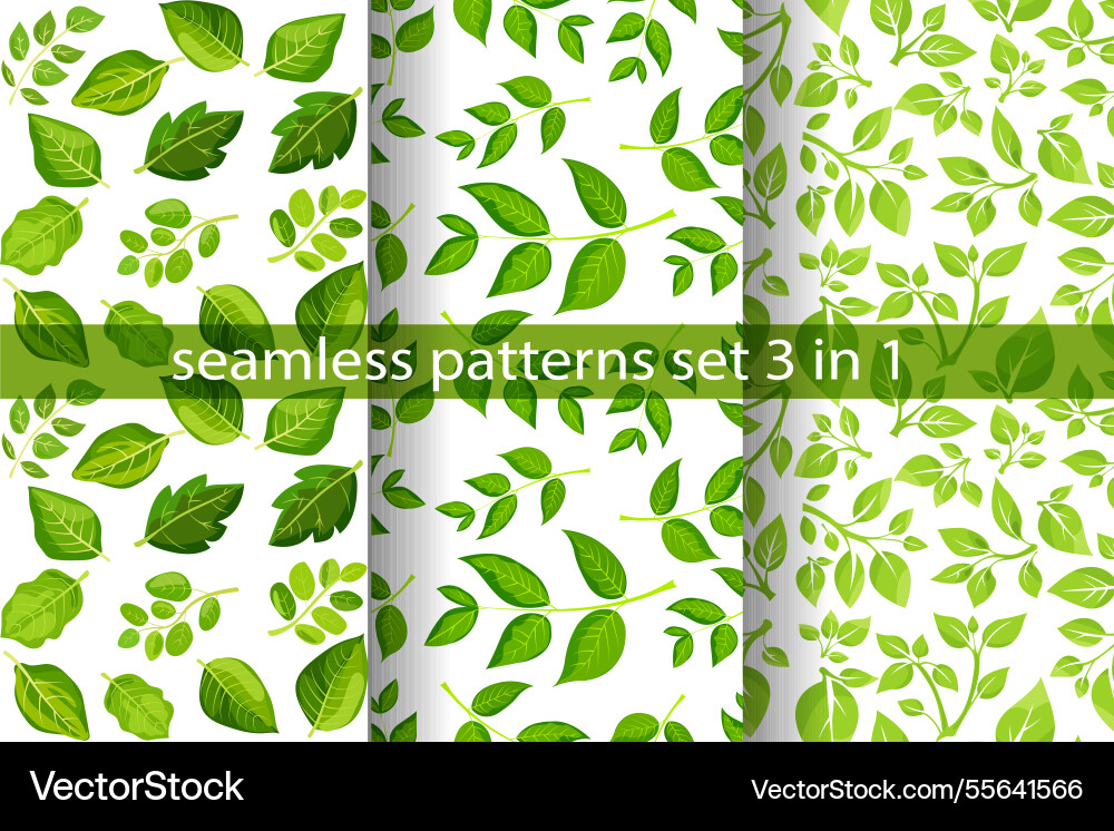 Seamless patterns featuring various green Seamless patterns featuring various green vector image