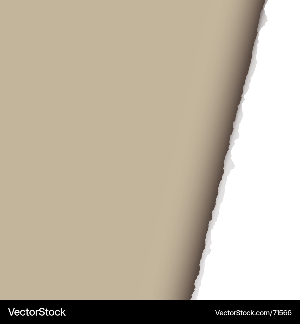 Torn Paper Background Vector Image