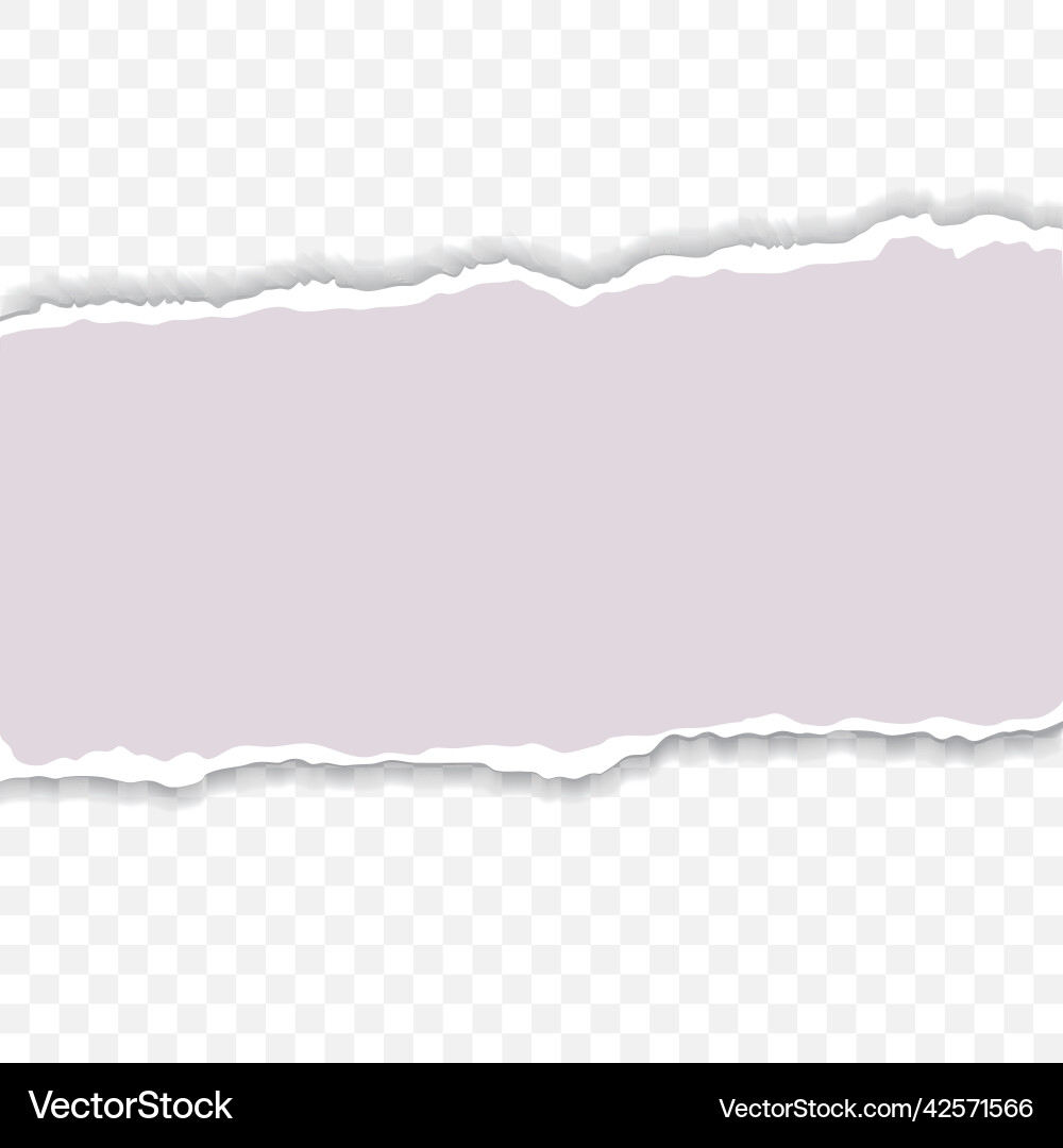 Torn paper with ripped edges and soft shadow Vector Image
