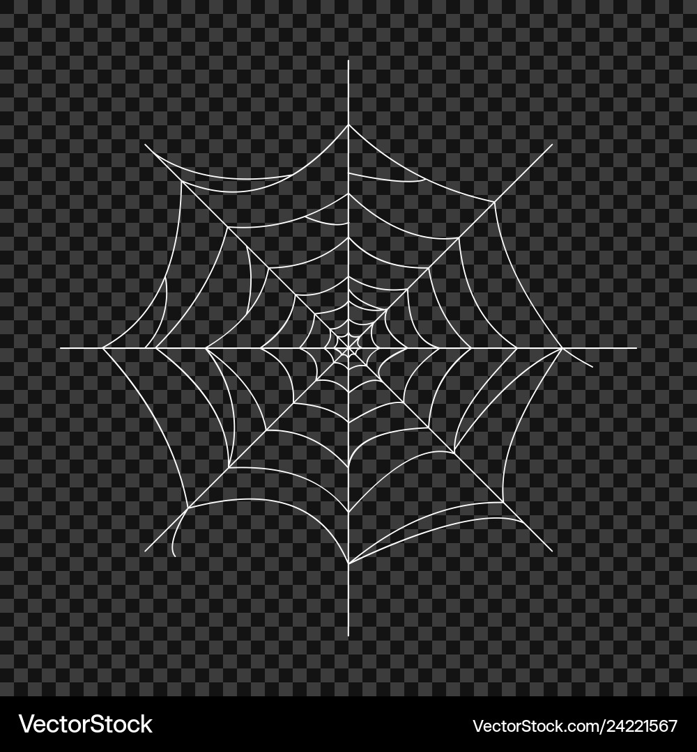 Cobweb spider web Cobweb spider web vector image