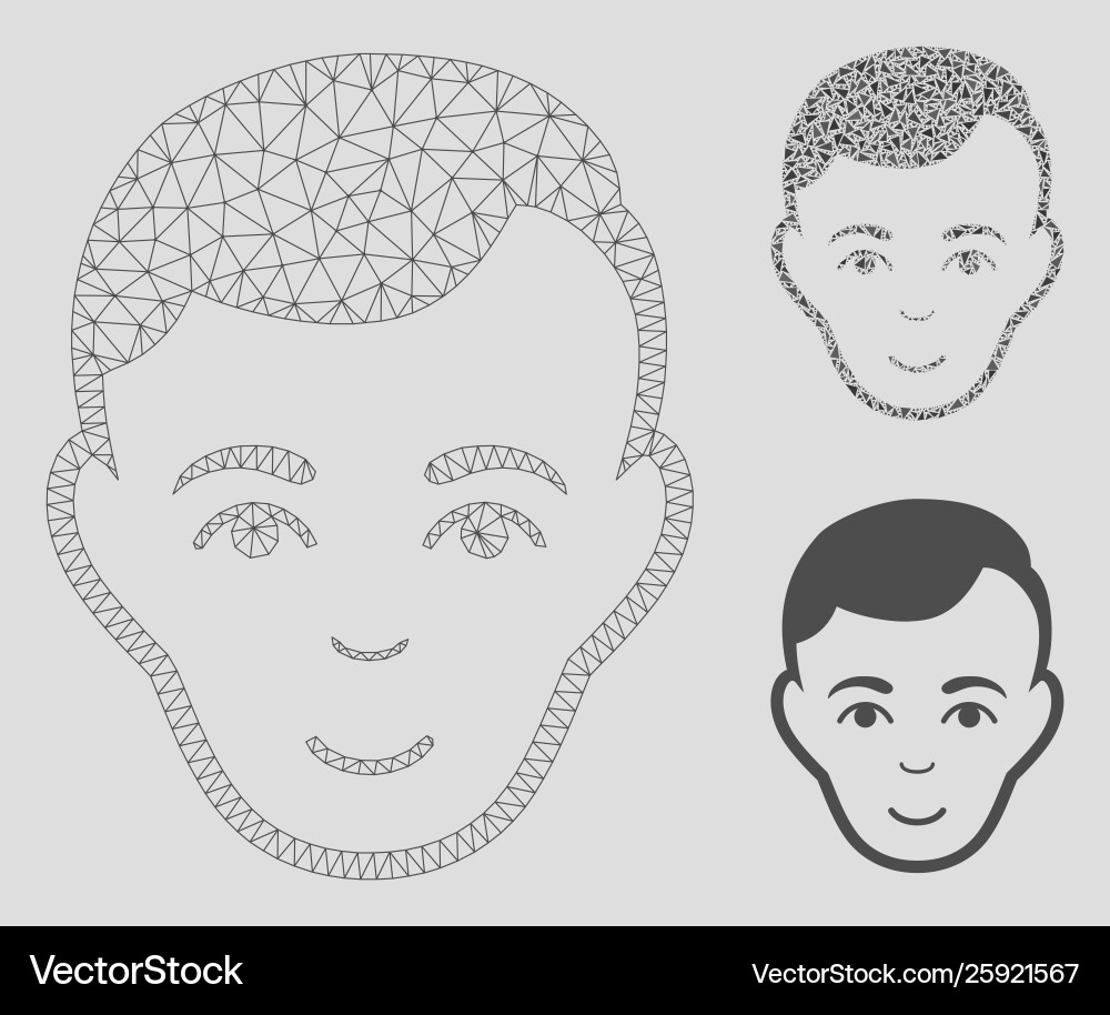 Face mesh 2d model and triangle mosaic icon Vector Image