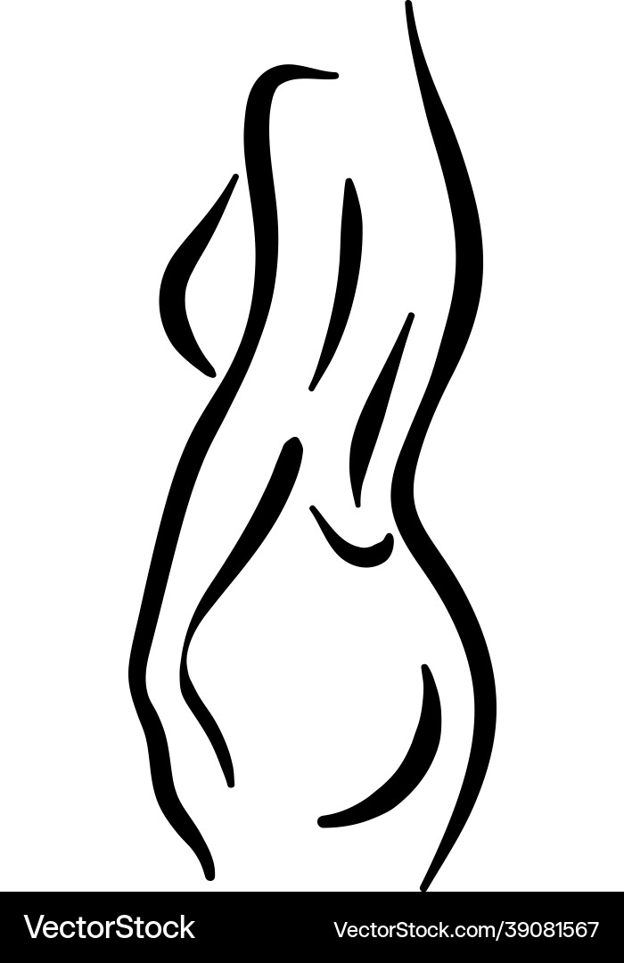 Female body silhouette line woman fashion art Female body silhouette line woman fashion art vector image