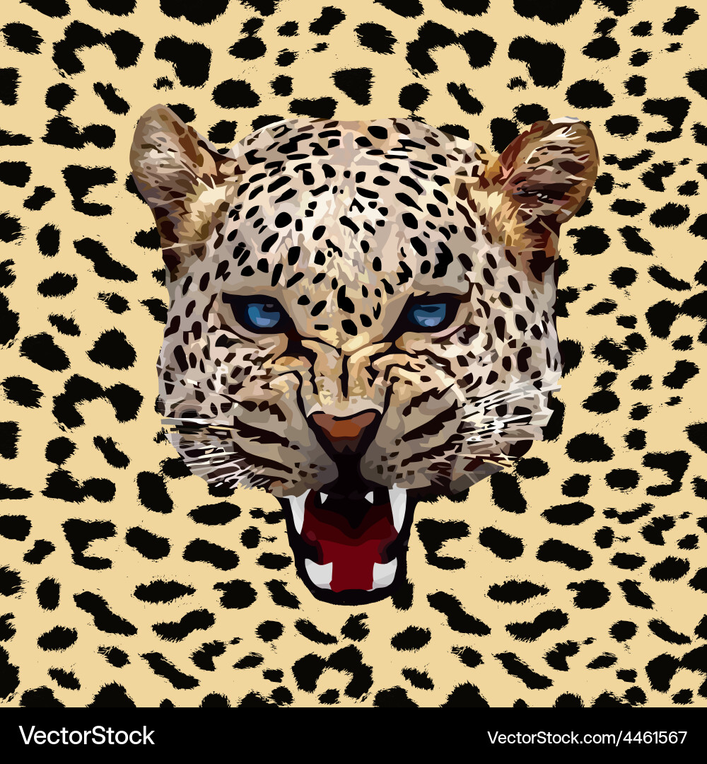 Leopard Print Pattern vector image