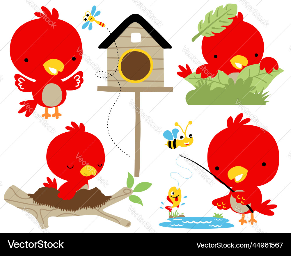 Set of red bird cartoon in different activity Set of red bird cartoon in different activity vector image