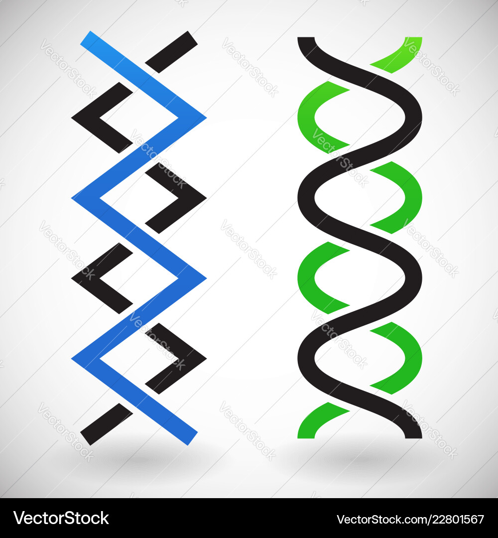 String chain helix concept graphics String chain helix concept graphics vector image
